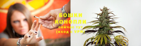 прущая мука Инта