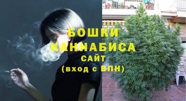 прущая мука Инта